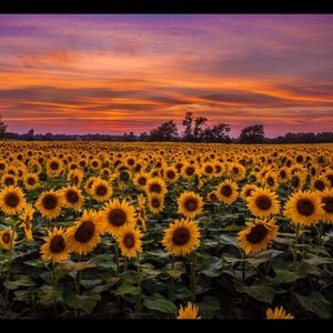 Meet your Posher, Brandy